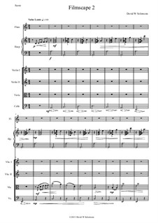 Filmscape No.2 for strings, harp and flute: Filmscape No.2 for strings, harp and flute by David W Solomons