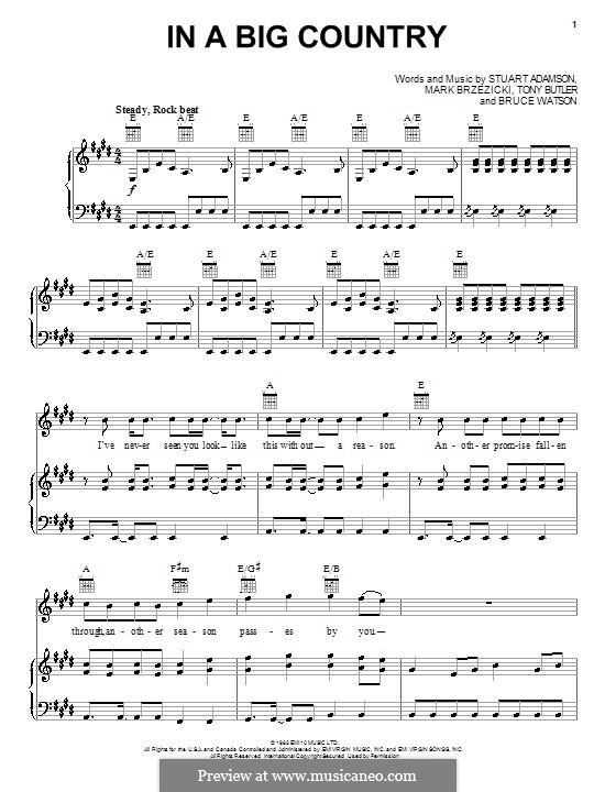 In a Big Country: For voice and piano (or guitar) by Bruce Watson, Mark Brzezicki, Stuart Adamson, Tony Butler