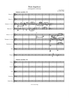 Panis Angelicus (O Lord Most Holy): For orchestra by César Franck