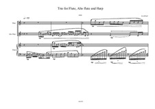 Trio No.14 for Flute, Alto flute and Harp, MVWV 498: Trio No.14 for Flute, Alto flute and Harp by Maurice Verheul