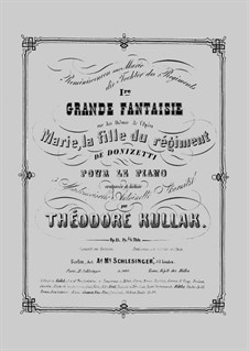 Reminiscences aus 'Marie, die Tochter des Regiments'. Premier Grande Fantaisie, Op.13: Reminiscences aus 'Marie, die Tochter des Regiments'. Premier Grande Fantaisie by Theodor Kullak