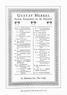 Polonaise Brillante, Op.28: Polonaise Brillante by Gustav Adolf Merkel