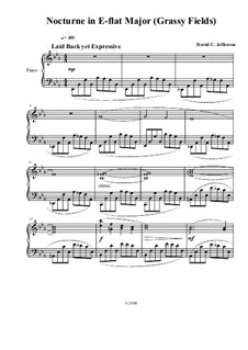 Piano Studies Bk.1: No.II - Nocturne in E-flat Major (Grassy Fields) by David Jefferson