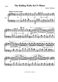 Piano Studies Bk.1: No.V - The Rolling Waltz in C-sharp minor by David Jefferson