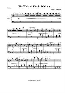 Piano Studies Bk.1: No.VI - The Waltz of Fire in D minor by David Jefferson