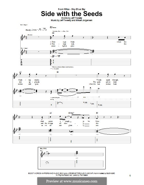 Side with the Seeds (Wilco): For guitar with tab by Jeff Tweedy, Mikael Jorgensen