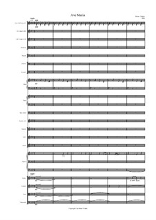 Ave Maria, Op.1: For soprano, choir and orchestra by Bruno Vlahek