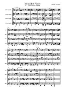 Im falschen Revier, Op.93: Im falschen Revier by Dieter Angerer