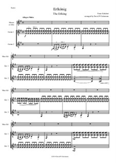 Erlkönig (Forest King), D.328 Op.1: For mezzo or alto and two guitars by Franz Schubert