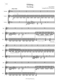 Erlkönig (Forest King), D.328 Op.1: For soprano and two guitars by Franz Schubert