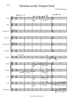 Variation on the Tristan Chord: For orchestra by David W Solomons