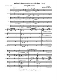 Nobody Knows the Trouble I've Seen: For string orchestra by folklore