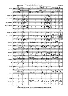 Wir sind allerbester Laune: Concert band by THG THG
