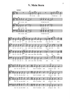 Five Songs on Poems by Conrad Ferdinand Meyer: No.5 Mein Stern by Alexander Merkulov
