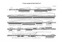 3 viam somnia for bass flute: No.2, MVWV 757 by Maurice Verheul