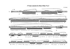 3 viam somnia for bass flute: No.3, MVWV 758 by Maurice Verheul
