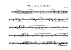 3 Viam somnia for Contrabass flute: No.1, MVWV 771 by Maurice Verheul