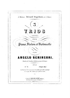 Piano Trio No.2 in G Minor, Op.6: Piano Trio No.2 in G Minor by Angelo Maria Benincori