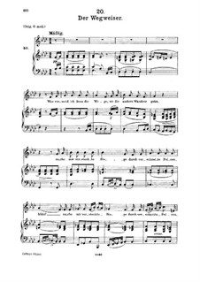No 20 Der Wegweiser The Signpost Winterreise Winter Journey D 911 Op 89 By F Schubert On Musicaneo