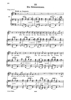 No.23 Die Nebensonnen (The Phantom Suns): For medium voice and piano by Franz Schubert