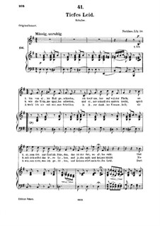 Tiefes Leid (Deep Sorrow), D.876: For medium voice and piano by Franz Schubert