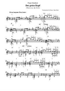 No.14 Der greise Kopf (The Grey Head): For guitar by Franz Schubert