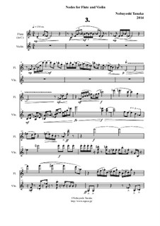 Nodes for Flute and Violin: Movement 3 by Nobuyoshi Tanaka