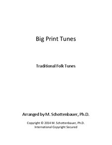 Big Print Tunes: Level 3B: Low Treble (2 Octaves, F to F) by folklore