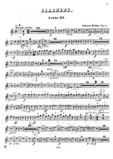 Serenade No.1 in D Major, Op.11: Horn III part by Johannes Brahms
