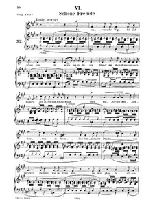 No.6 Schöne Fremde (In a Fair and Foreign Land): For medium voice and piano by Robert Schumann
