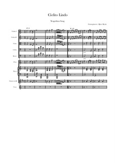 Cielito Lindo: For solo and chamber orchestra by folklore