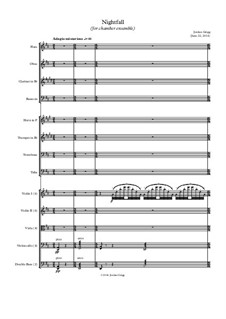 Nightfall (for chamber ensemble): Nightfall (for chamber ensemble) by Jordan Grigg