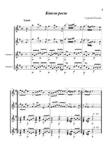 Dew Drops: For quartet: free choice; any instrument by Sergej Kolgan