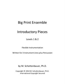 Big Print Ensemble (Level 1 & 2): Introductory Pieces for flexible instrumentation by Michele Schottenbauer