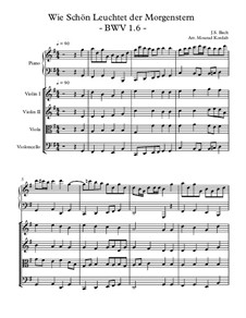 Wie schön leuchtet der Morgenstern, BWV 1: Nr.6, für Kammerorchester by Johann Sebastian Bach