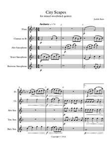 City Scapes - for mixed woodwind quintet: Full score by Judith Katz