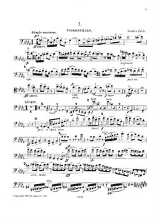 Piano Quintet in B Flat Minor: Cello part by Nándor Zsolt