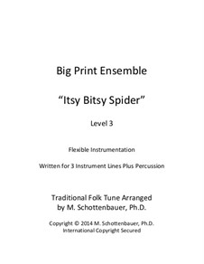 Big Print Ensemble: Level 3: Itsy Bitsy Spider for flexible instrumentation by folklore