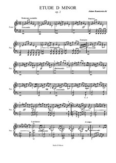 Etude D Minor, Op.2: Etude D Minor by Adam Kamieniecki