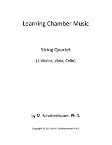 Learning Chamber Music: String quartet by Michele Schottenbauer