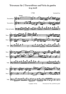 Triosonate in g moll für zwei Traversflöten und Viola da Gambe: Triosonate in g moll für zwei Traversflöten und Viola da Gambe by Bernhard Vass