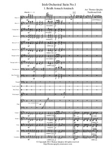 Irish Orchestral Suite No.1: Movement I by folklore