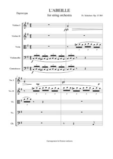 The Bee for Violin and Piano: Arrangement for string orchestra by Franz Schubert (from Dresden)