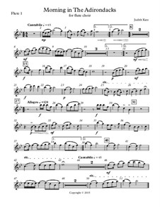 Morning In The Adirondacks - for flute choir: Parts by Judith Katz
