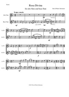 Rosa Divina: For alto flute and bass flute by David W Solomons