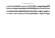 Trio: For harp, eagle recorder and bass clarinet, MVWV 861B by Maurice Verheul