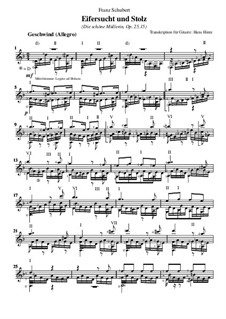 No.15 Eifersucht und Stolz (Jealousy and Pride): For guitar by Franz Schubert