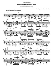 No.4 Danksagung an den Bach (A Song of Thanks to the Brook): For guitar by Franz Schubert