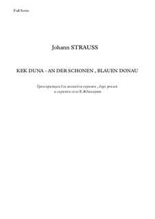 On the Beautiful Blue Danube, Op.314: For violins and two pianos, Op.44 by Johann Strauss (Sohn)