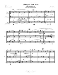 Always a New Now flex trio: Always a New Now flex trio by Zae Munn